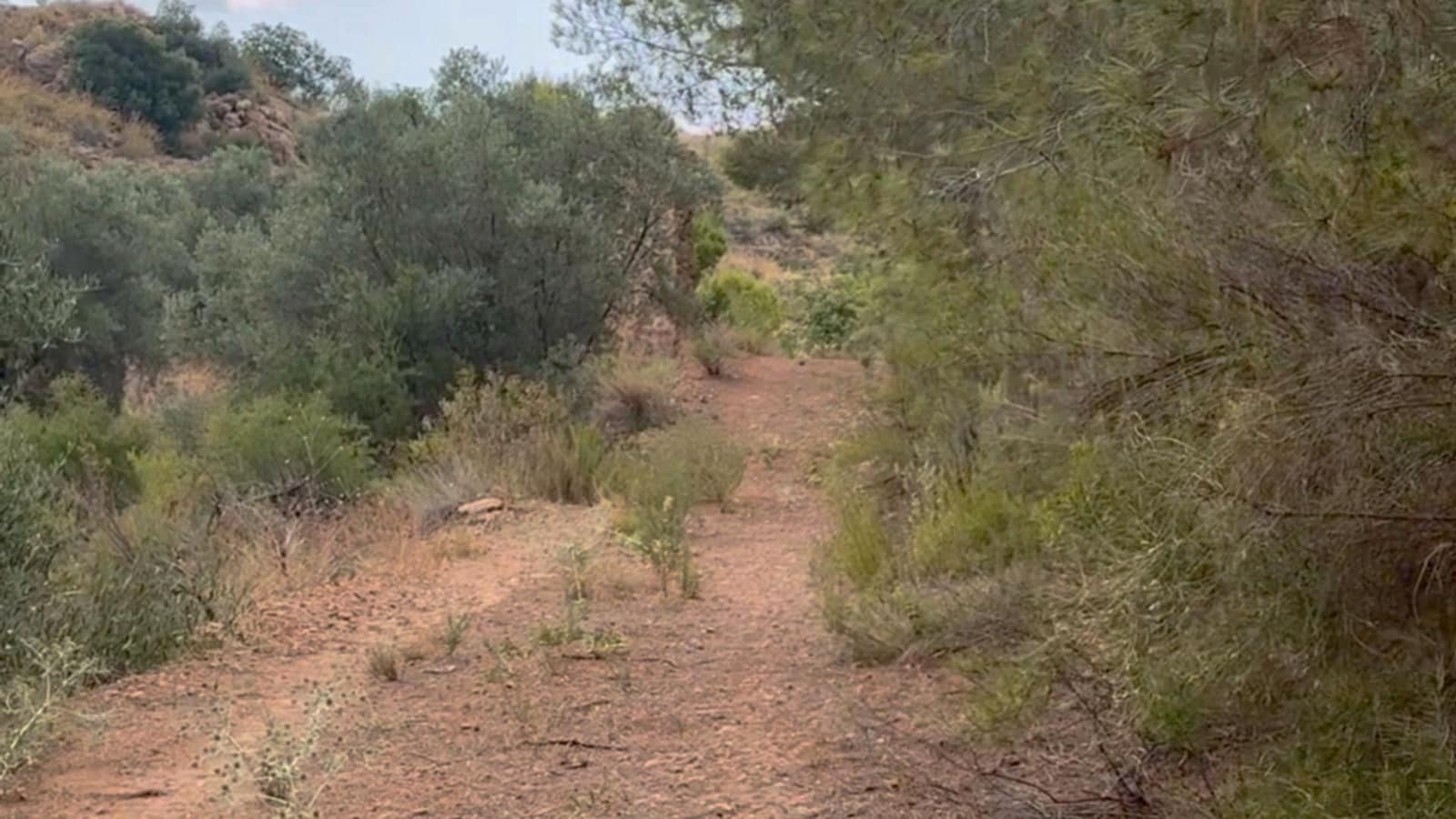 Finca/Maison de Campagne à vendre à Henares - 800 000 € (Ref: 9294017)