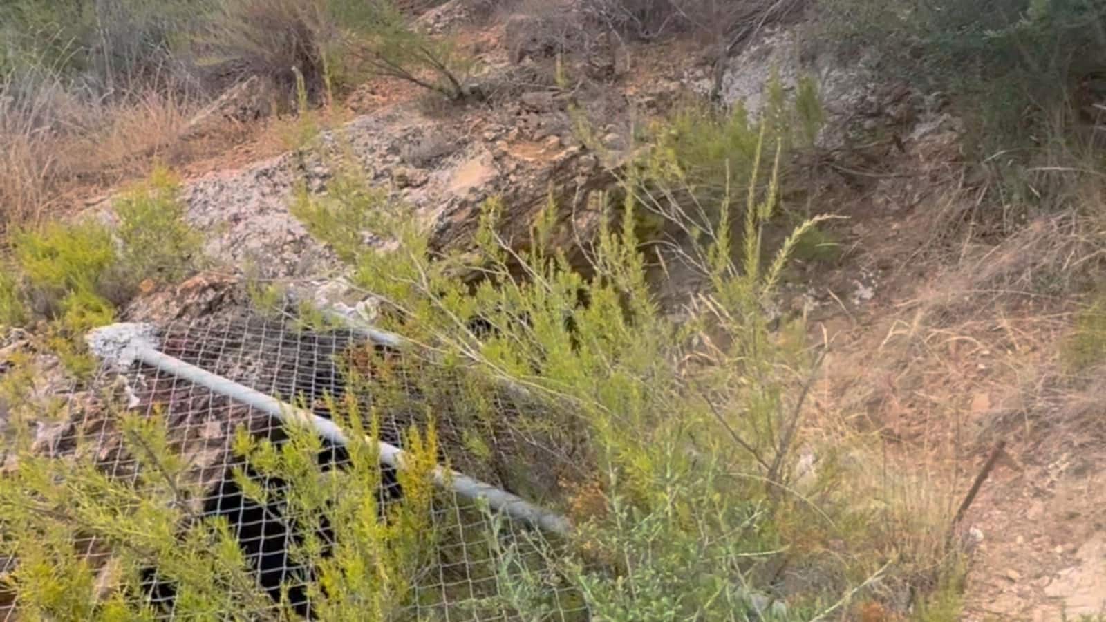 Finca/Maison de Campagne à vendre à Henares - 800 000 € (Ref: 9294017)