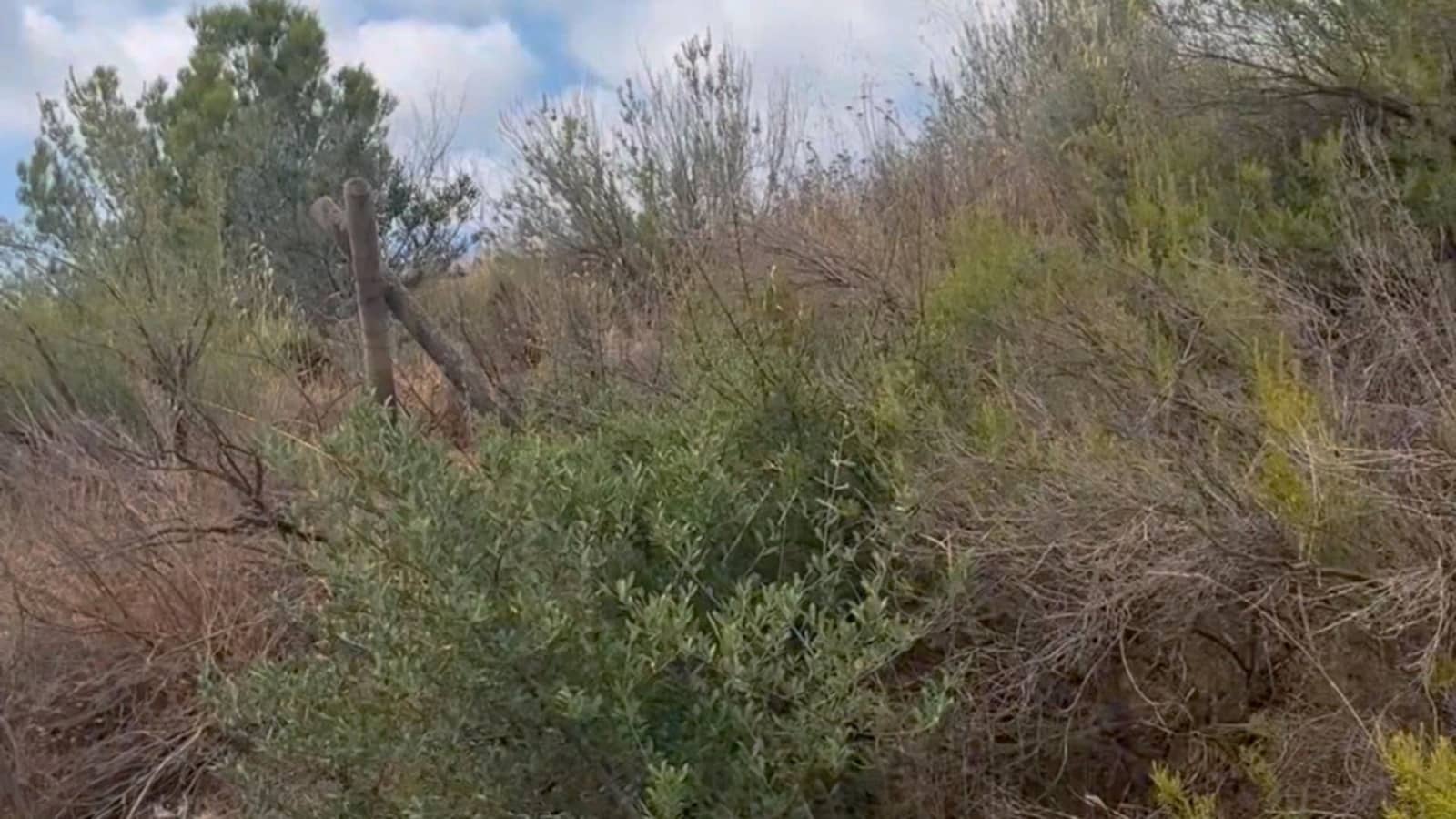 Finca/Maison de Campagne à vendre à Henares - 800 000 € (Ref: 9294017)