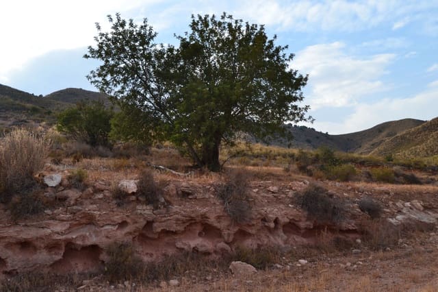 Finca/Maison de Campagne à vendre à Henares, Lorca - 800 000 € (Ref: 9294017)