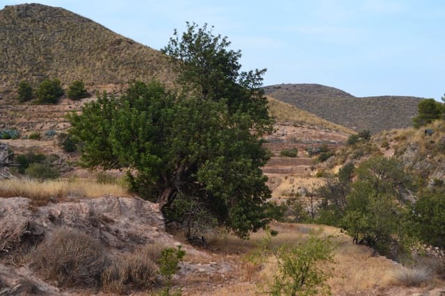 Finca/Maison de Campagne à vendre à Henares, Lorca - 800 000 € (Ref: 9294017)
