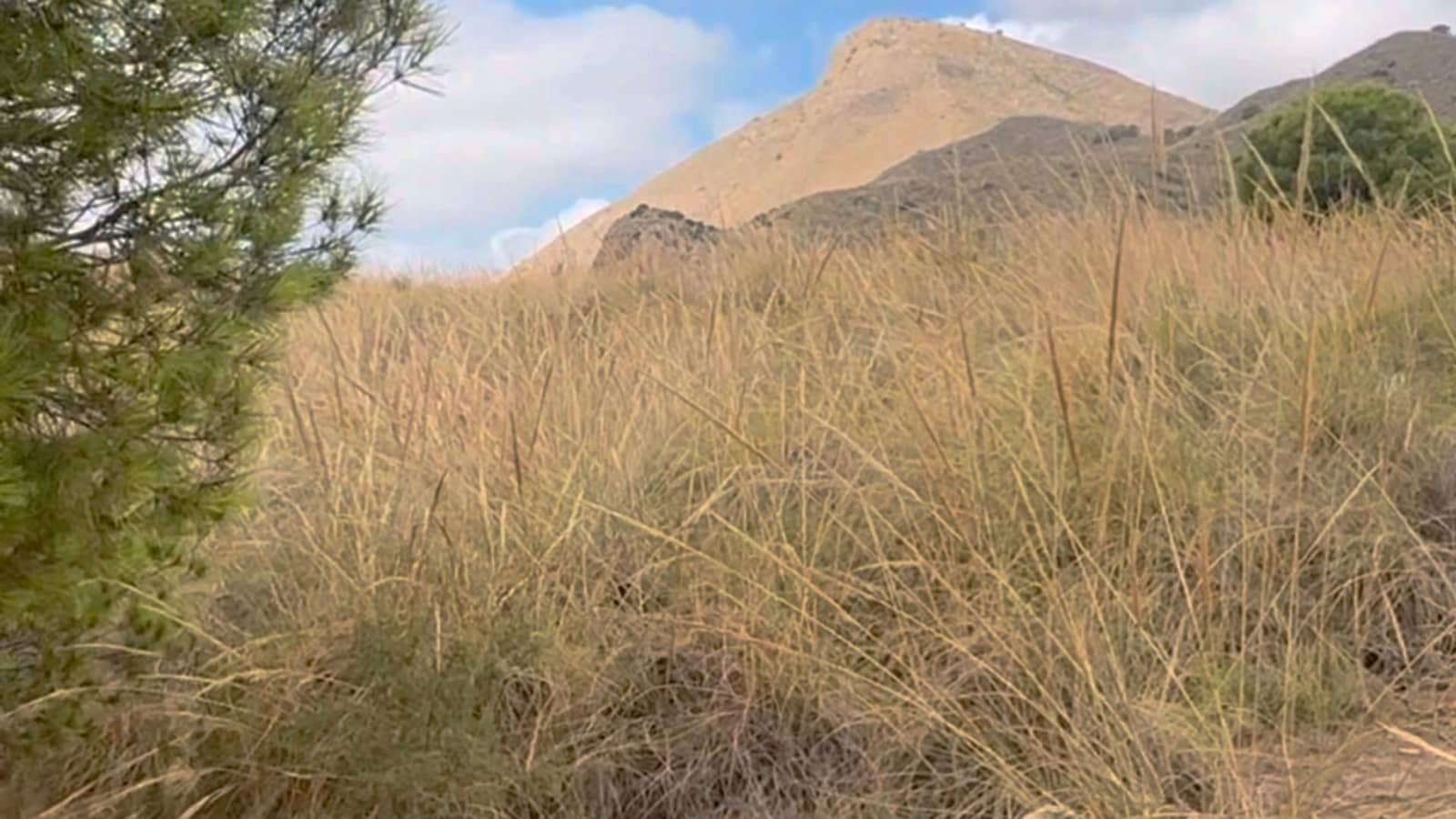 Maalaistalo myytävänä paikassa Lorca mukana 
autotalli - 800 000 € (Ref: 9306434)