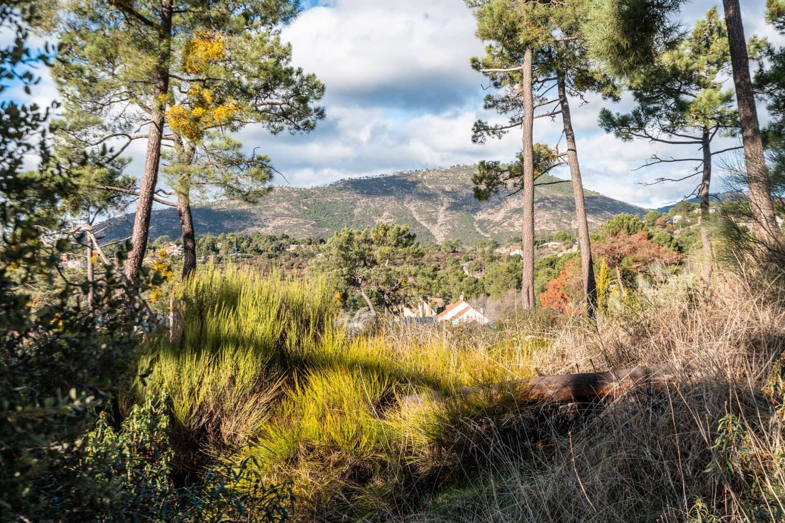 5 bedroom Villa for sale in Robledo de Chavela - € 155,000 (Ref: 9495302)