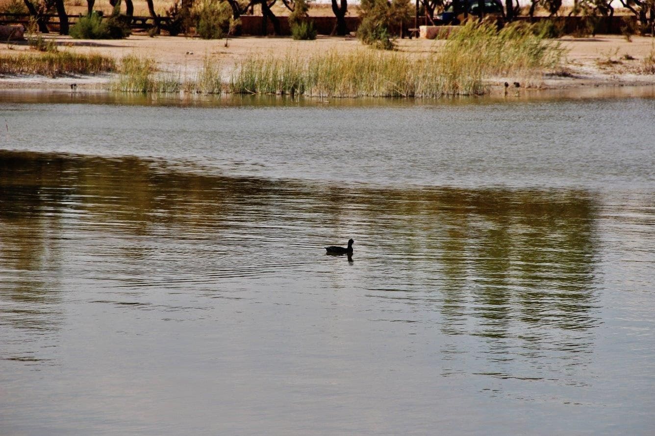 3 bedroom Finca/Country House for sale in Villafranca de los Caballeros with garage - € 110,000 (Ref: 9536372)