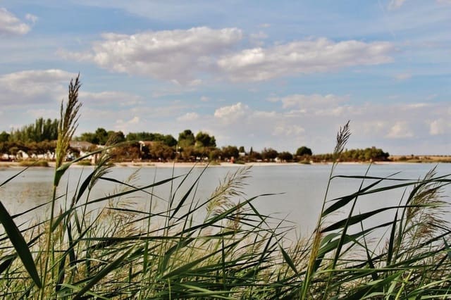 3 Zimmer Finca/Landgut zu verkaufen in Villafranca de los Caballeros mit Garage - 110.000 € (Ref: 9536372)