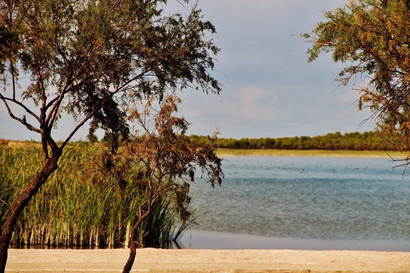 3 bedroom Finca/Country House for sale in Villafranca de los Caballeros with garage - € 110,000 (Ref: 9536372)
