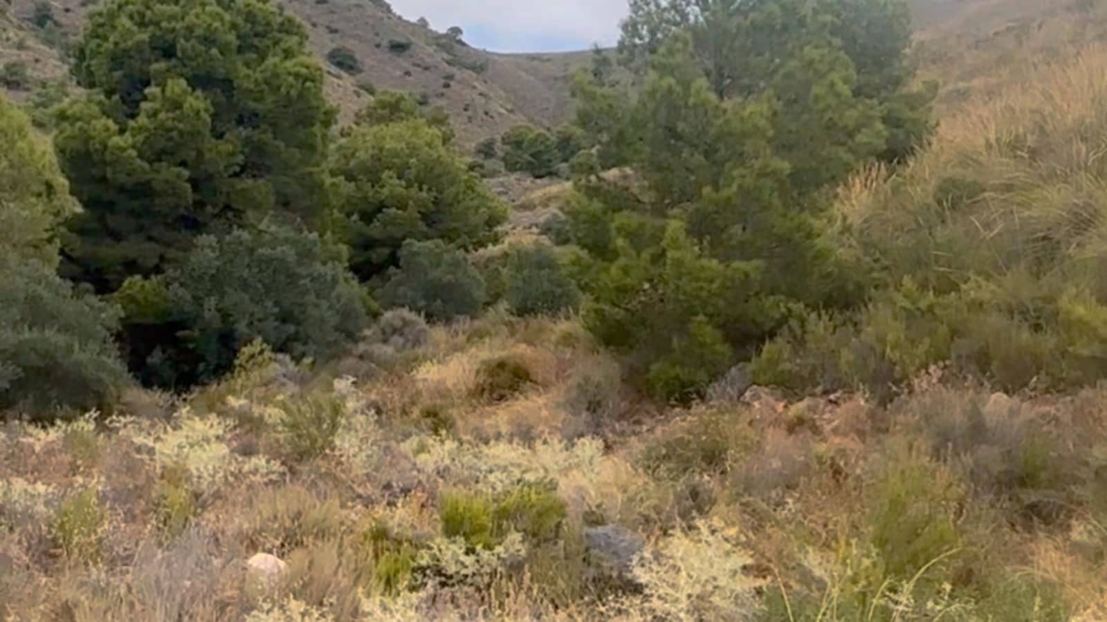 Finca/Casa di Campagna da affittare in Aguilas - 4.500 € (Rif: 9614447)