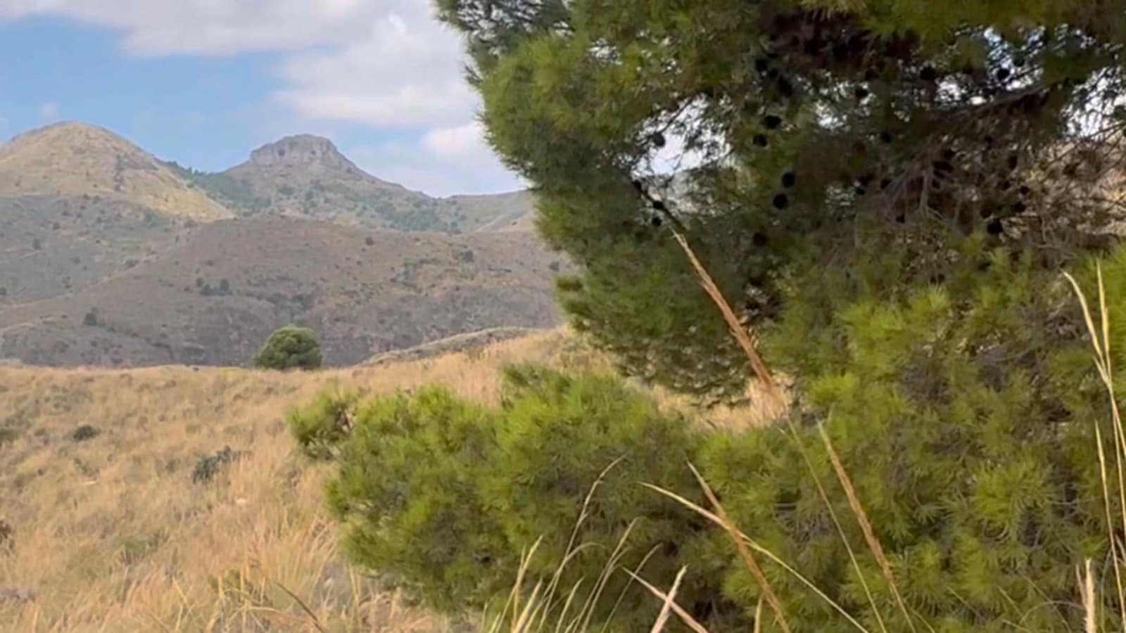 Finca/Casa di Campagna da affittare in Aguilas - 4.500 € (Rif: 9614447)