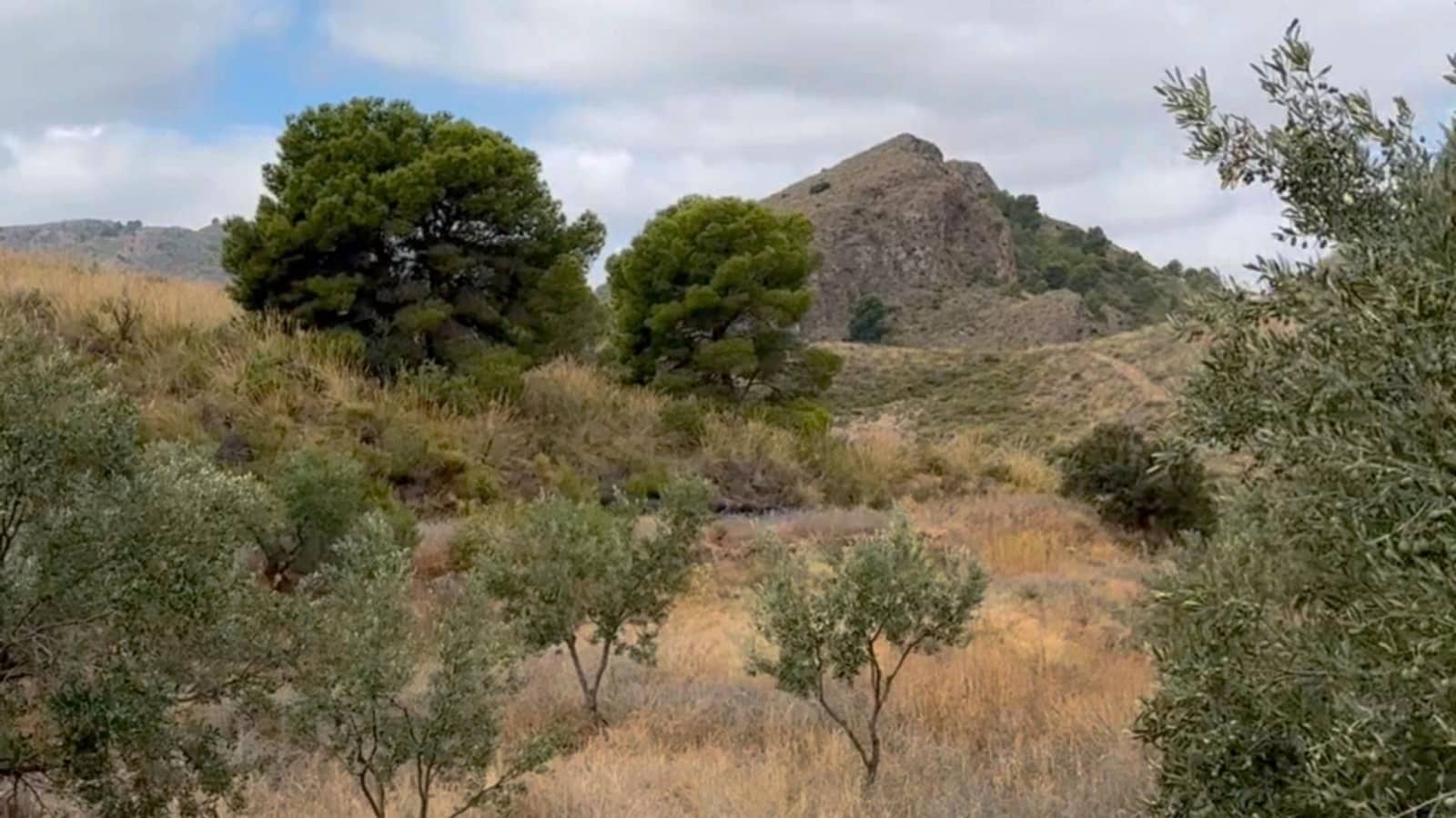 Finca/Casa di Campagna da affittare in Aguilas - 4.500 € (Rif: 9614447)