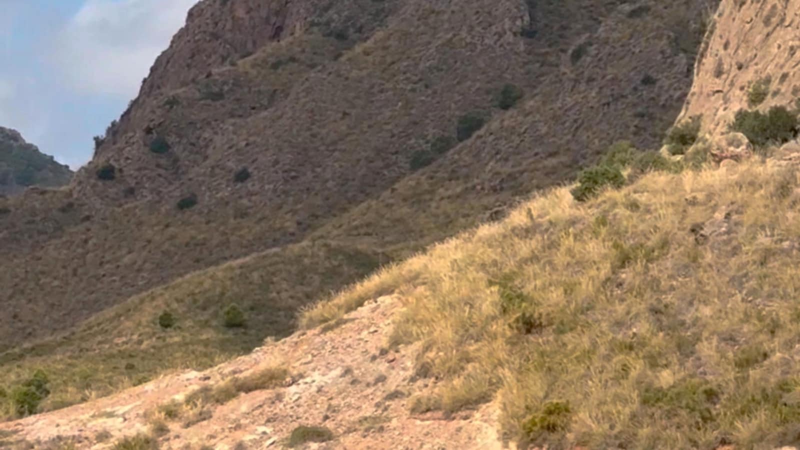 Finca/Casa di Campagna da affittare in Aguilas - 4.500 € (Rif: 9614447)