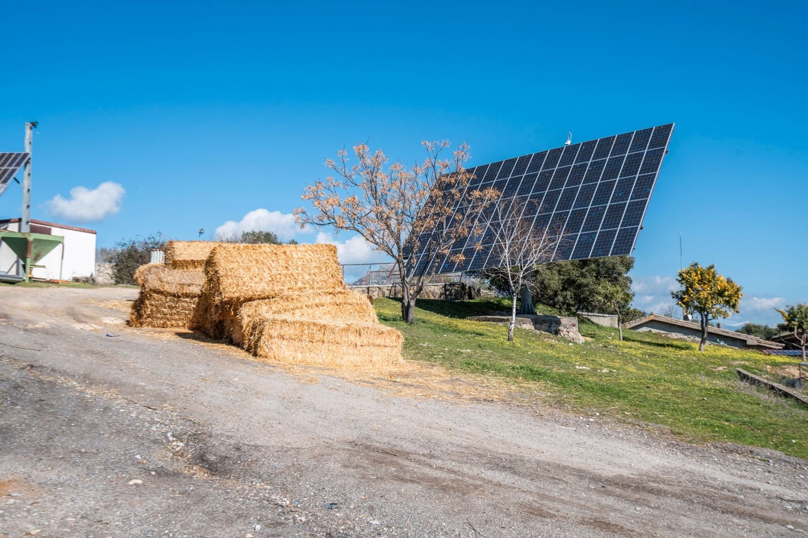 Finca/Casa Rural en Fresnedillas de la Oliva en venta - 6.000.000 € (Ref: 9691651)