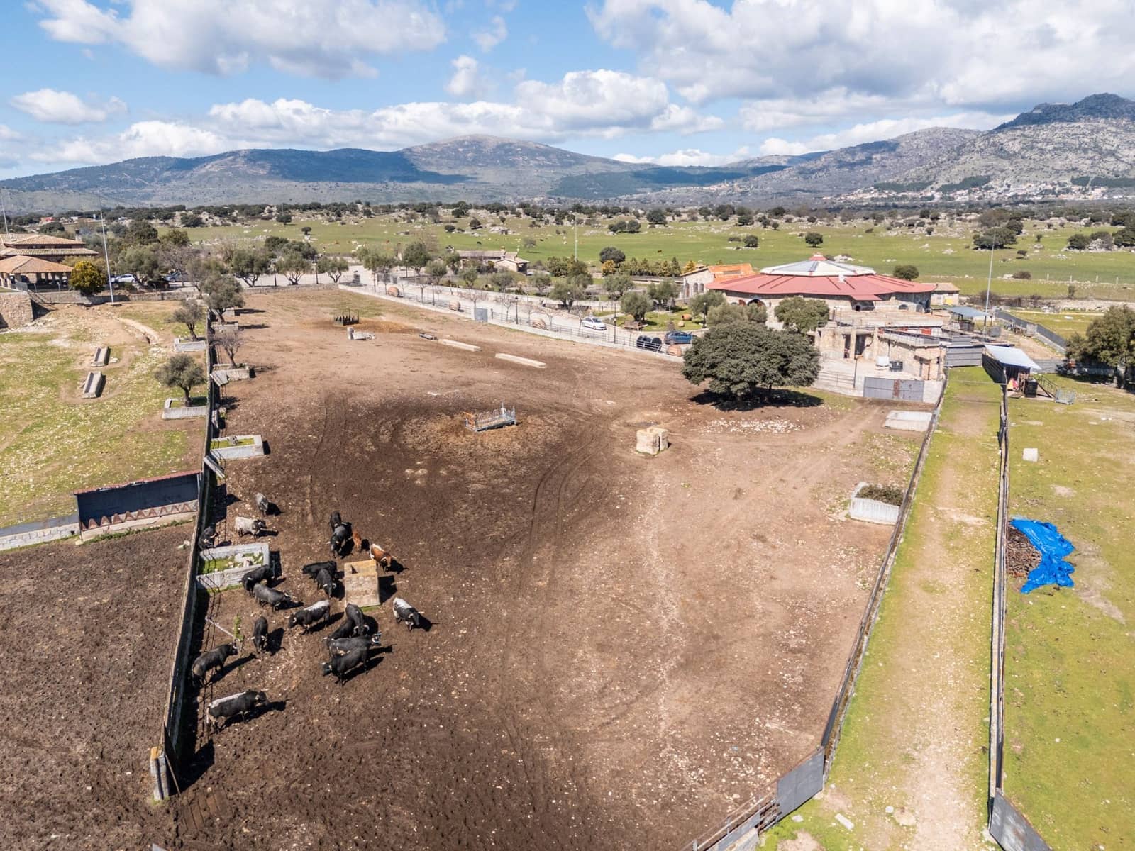 Finca/Casa Rural en Fresnedillas de la Oliva en venta - 6.000.000 € (Ref: 9691651)