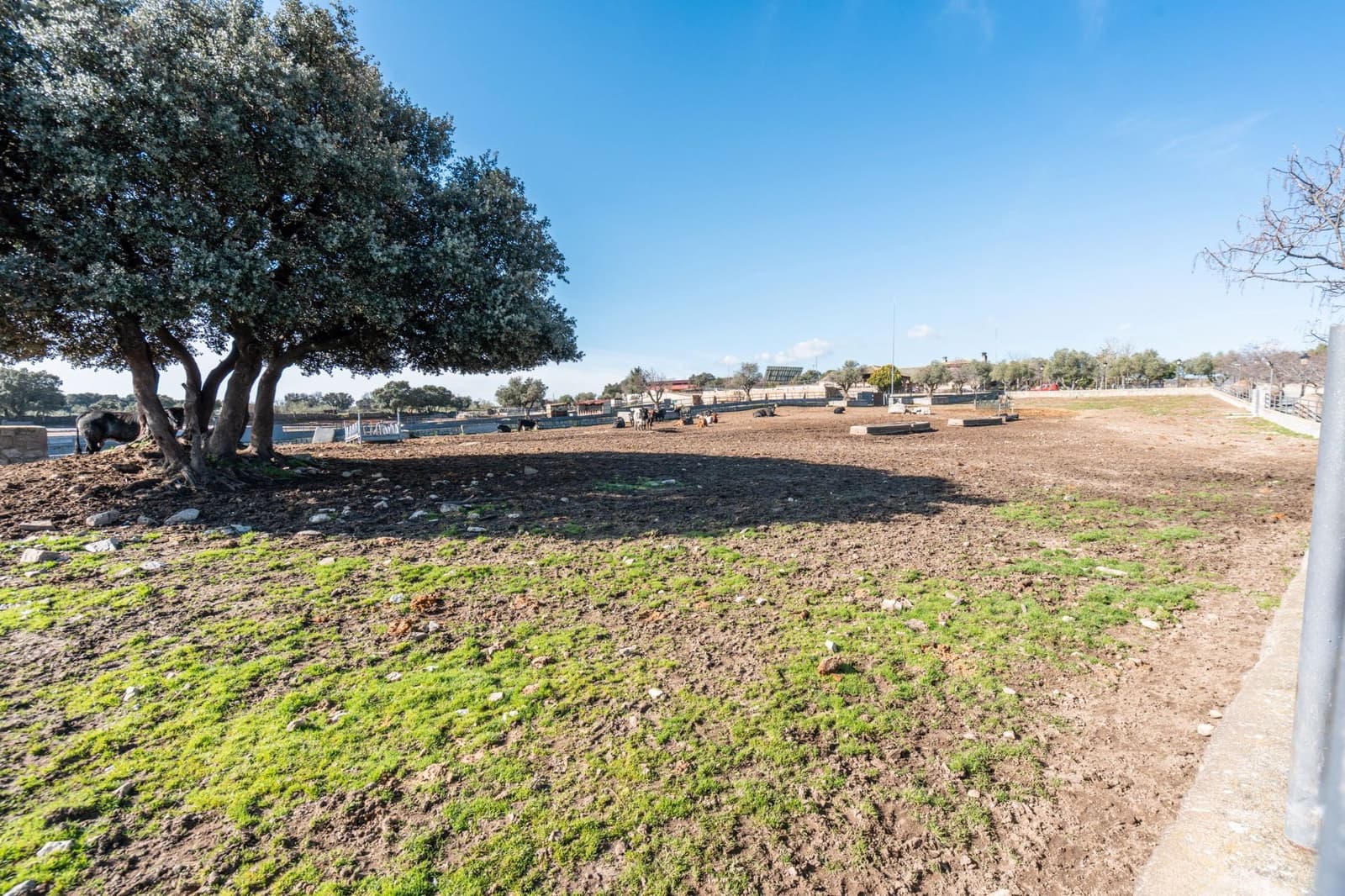 Finca/Casa Rural en Fresnedillas de la Oliva en venta - 6.000.000 € (Ref: 9691651)