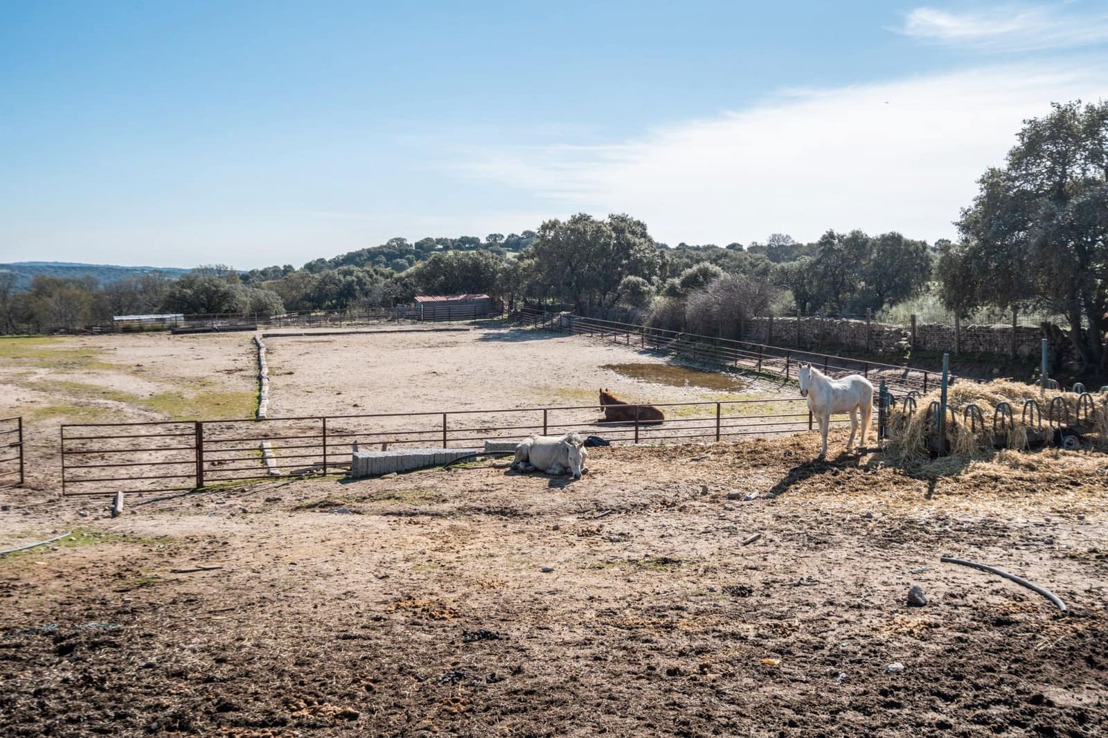 Finca/Casa Rural en Fresnedillas de la Oliva en venta - 6.000.000 € (Ref: 9691651)