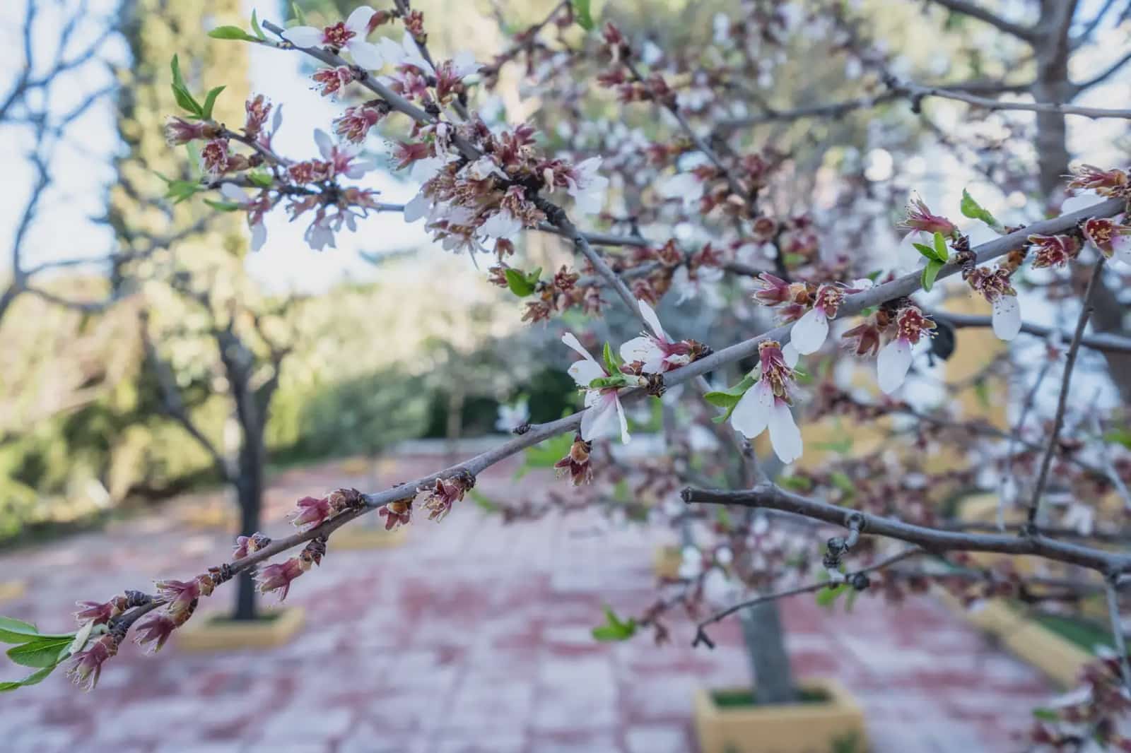 4 sovrum Semi-fristående Villa till salu i Galapagar med pool garage - 700 000 € (Ref: 9770991)