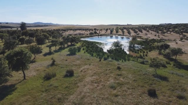 2 sovrum Finca/Hus på landet till salu i Paymogo - 650 000 € (Ref: 9787892)