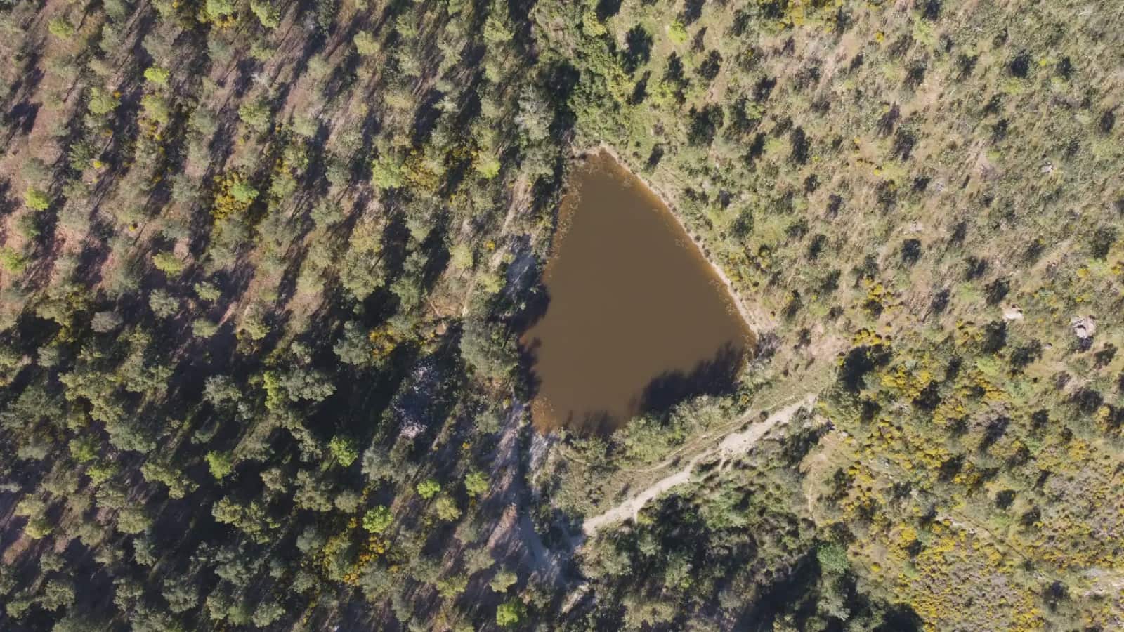 2 sovrum Finca/Hus på landet till salu i Paymogo - 650 000 € (Ref: 9787892)