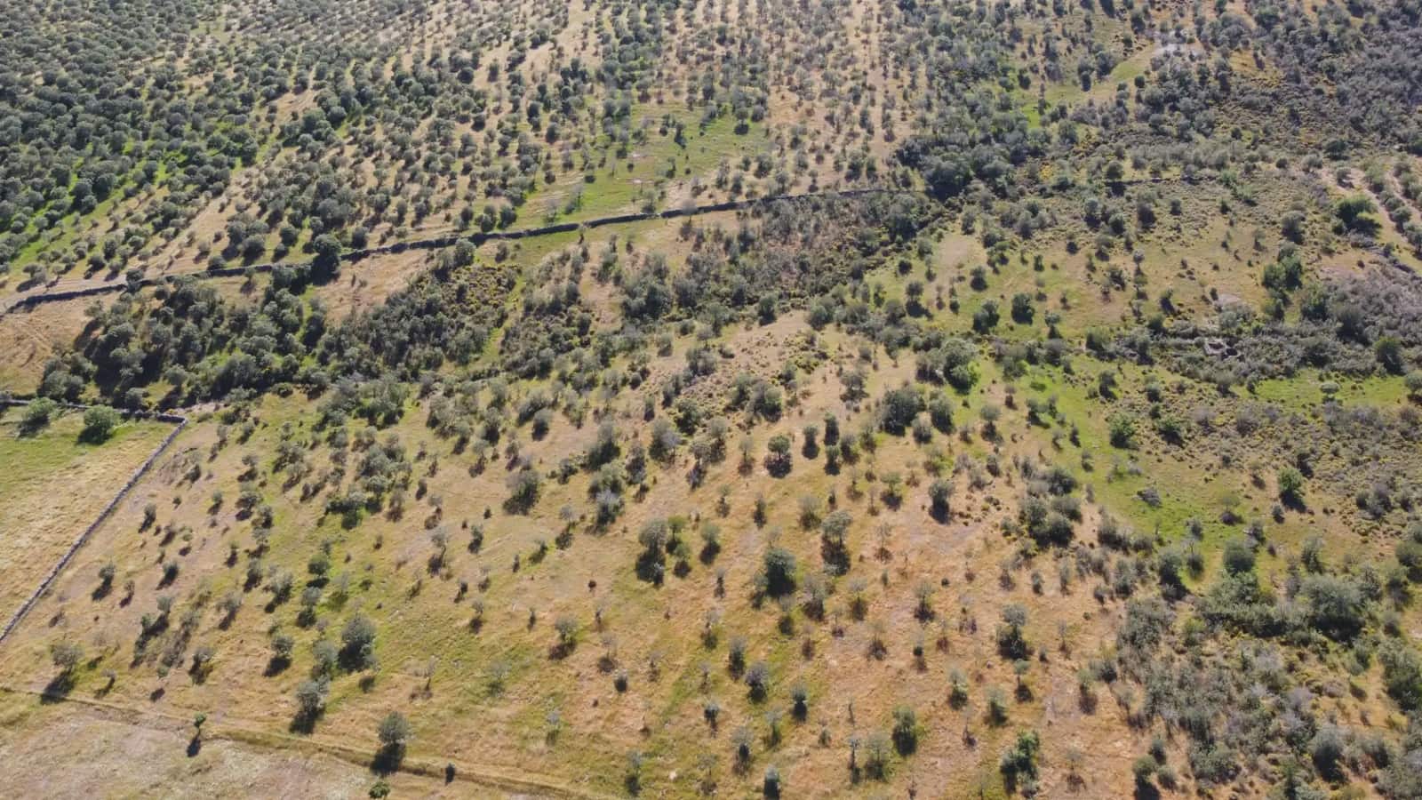 2 sovrum Finca/Hus på landet till salu i Paymogo - 650 000 € (Ref: 9787892)