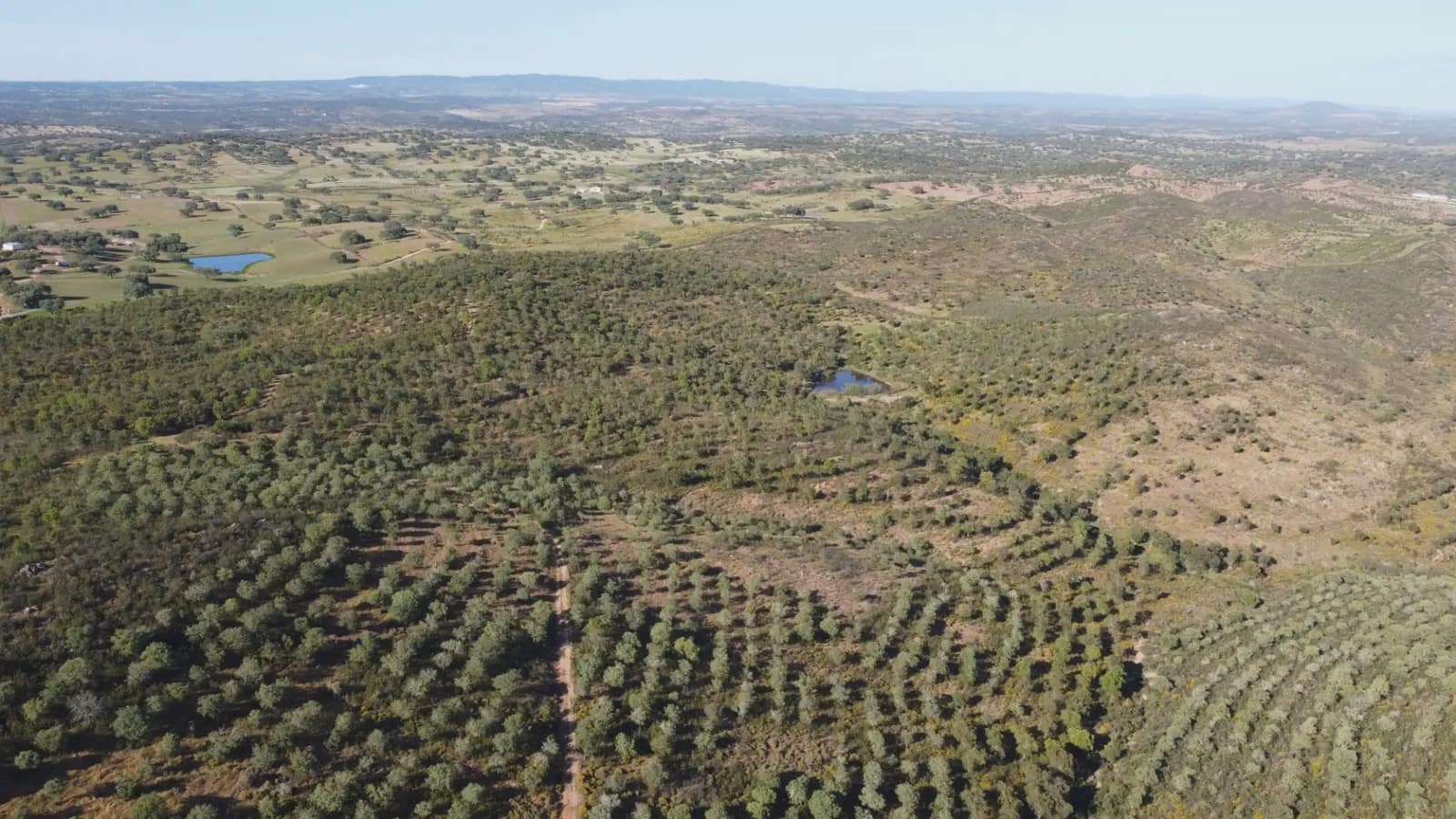 2 sovrum Finca/Hus på landet till salu i Paymogo - 650 000 € (Ref: 9787892)