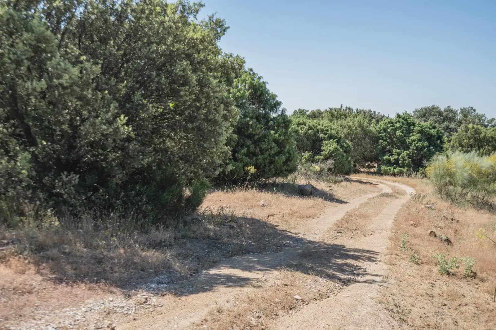 15 bedroom Finca/Country House for sale in Cenicientos - € 750,000 (Ref: 9897287)