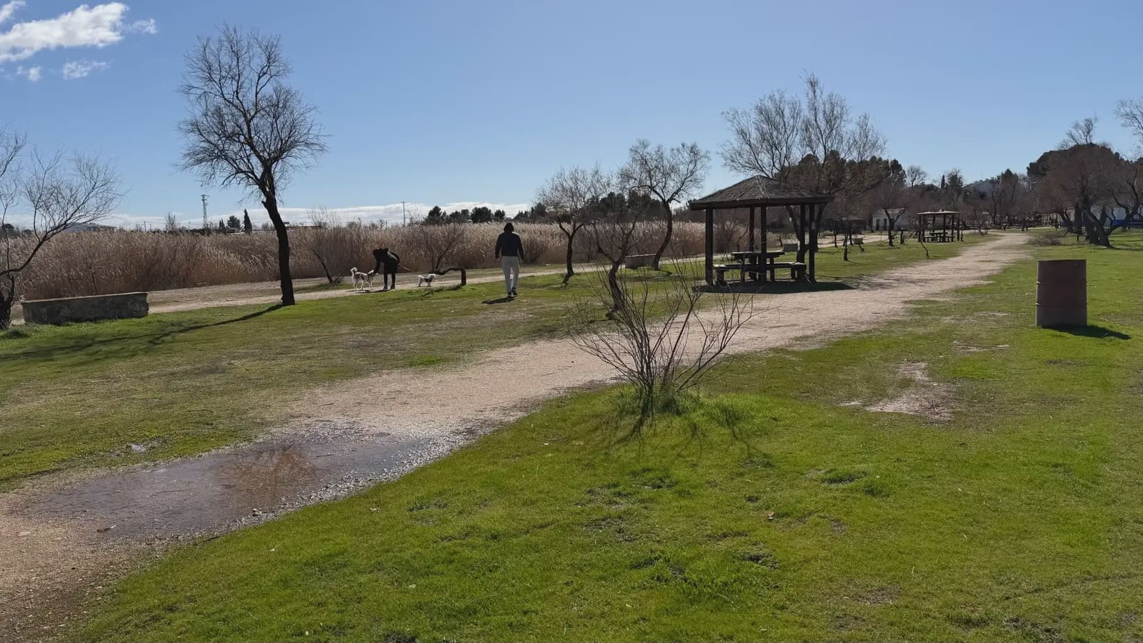 3 sypialnia Willa na sprzedaż w Villafranca de los Caballeros - 115 000 € (Ref: 9908959)