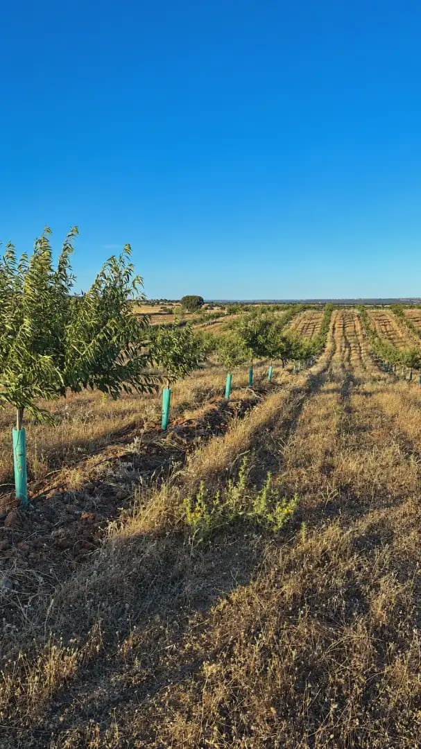 Finca/Country House for sale in Almorox - € 365,000 (Ref: 9928157)