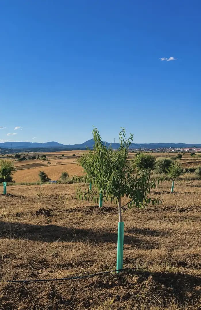 Finca/Country House for sale in Almorox - € 365,000 (Ref: 9928157)
