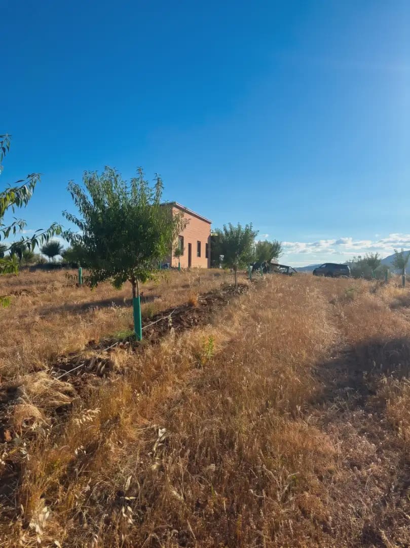 Finca/Country House for sale in Almorox - € 365,000 (Ref: 9928157)