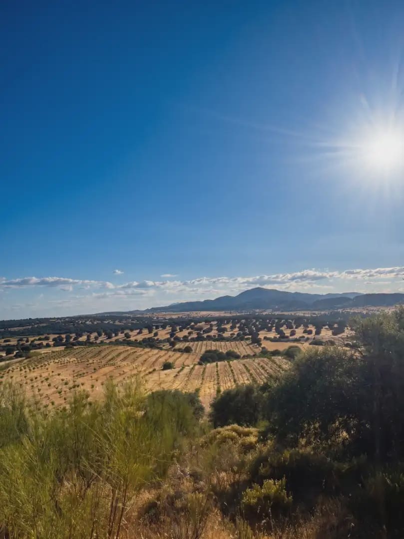 Finca/Country House for sale in Almorox - € 365,000 (Ref: 9928157)