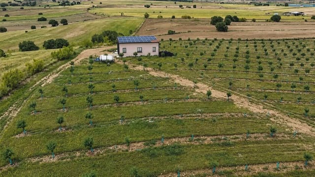 Finca/Country House for sale in Almorox - € 365,000 (Ref: 9928157)