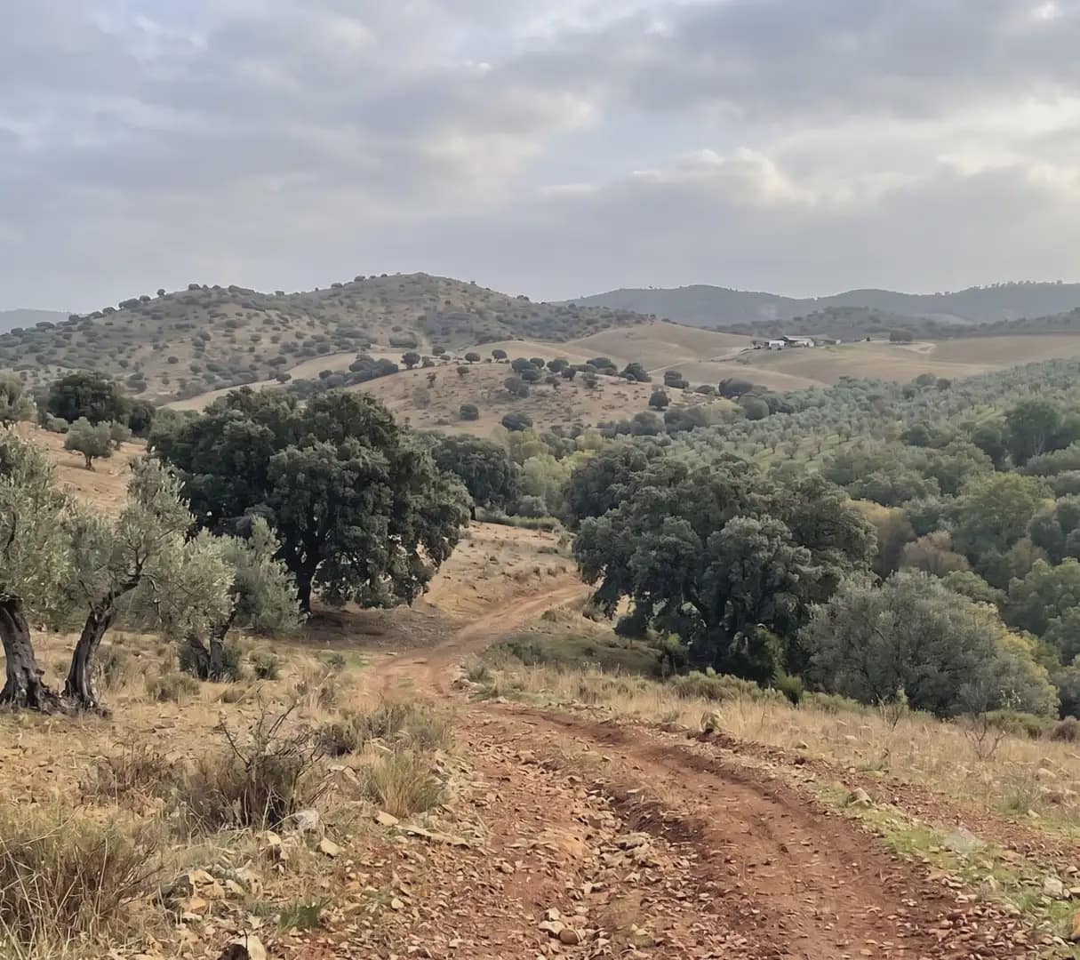 Finca/Landhuis te koop in Almaden - € 29.000.000 (Ref: 9971506)