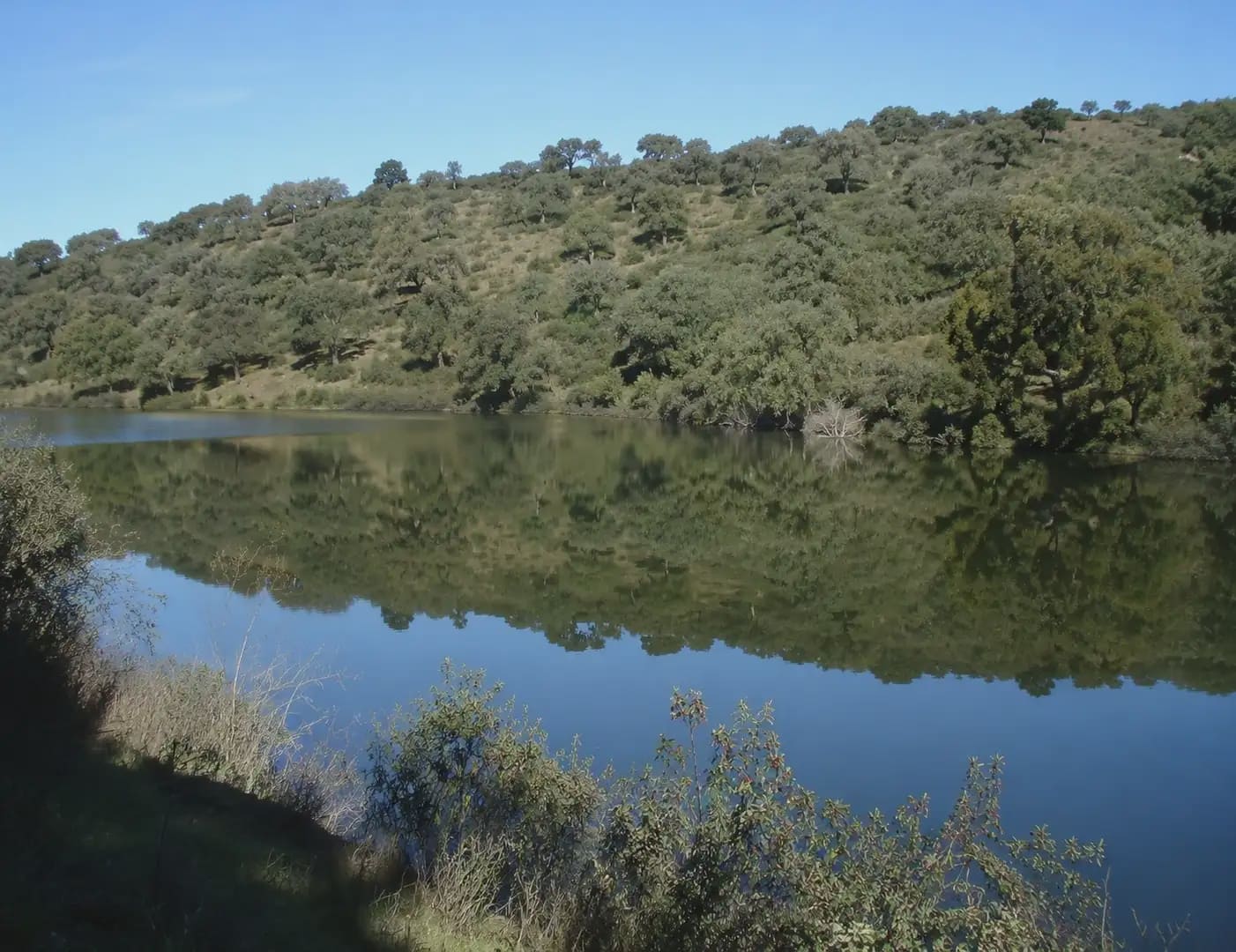Finca/Landhuis te koop in Almaden - € 29.000.000 (Ref: 9971506)