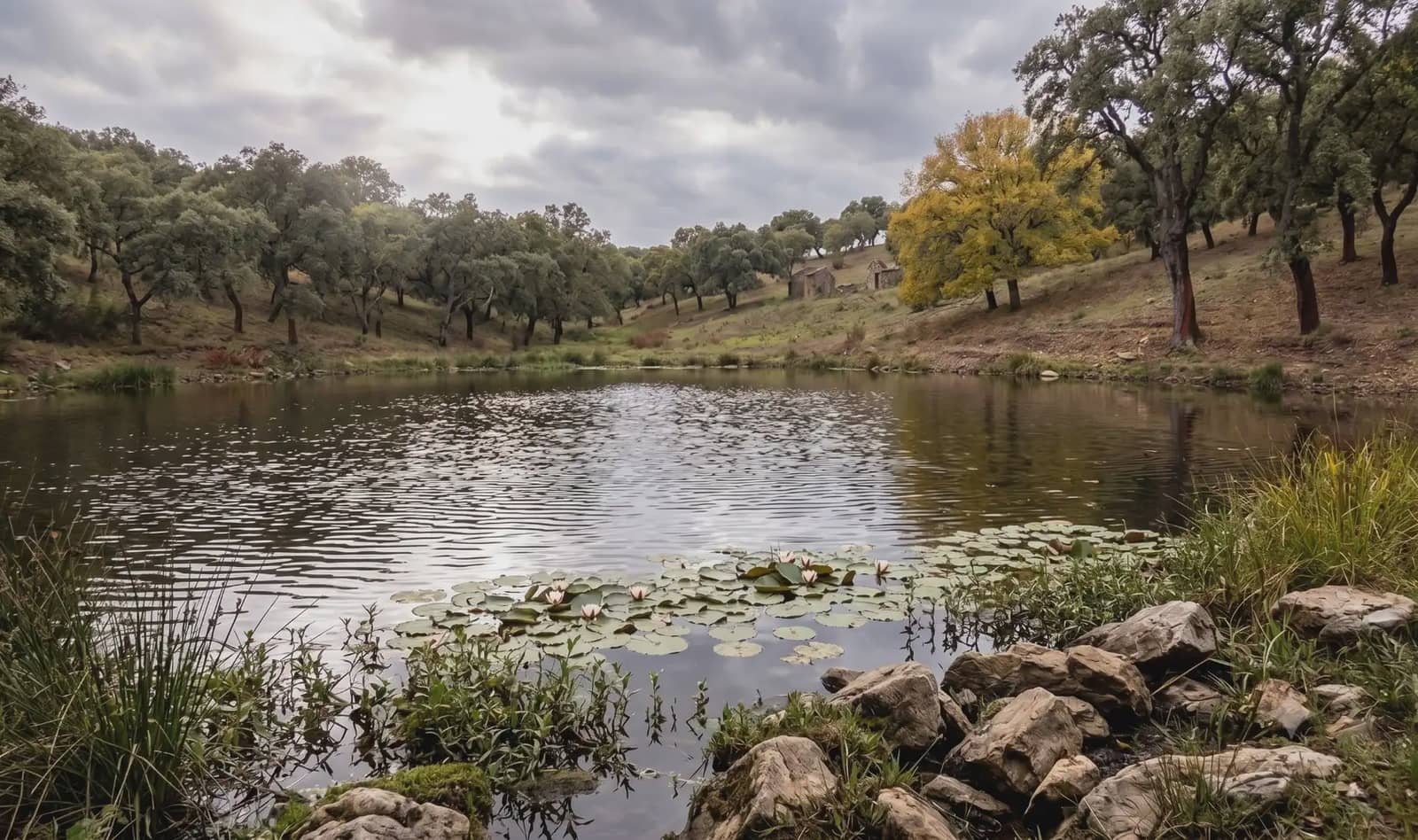 Finca/Landhuis te koop in Almaden - € 29.000.000 (Ref: 9971506)