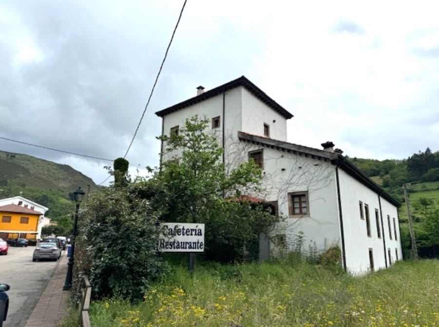 16 soveværelse Hotel til salg i Cangas del Narcea - € 380.000 (Ref: 9009369)