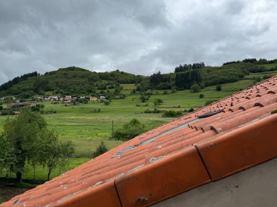 16 soveværelse Hotel til salg i Cangas del Narcea - € 380.000 (Ref: 9009369)