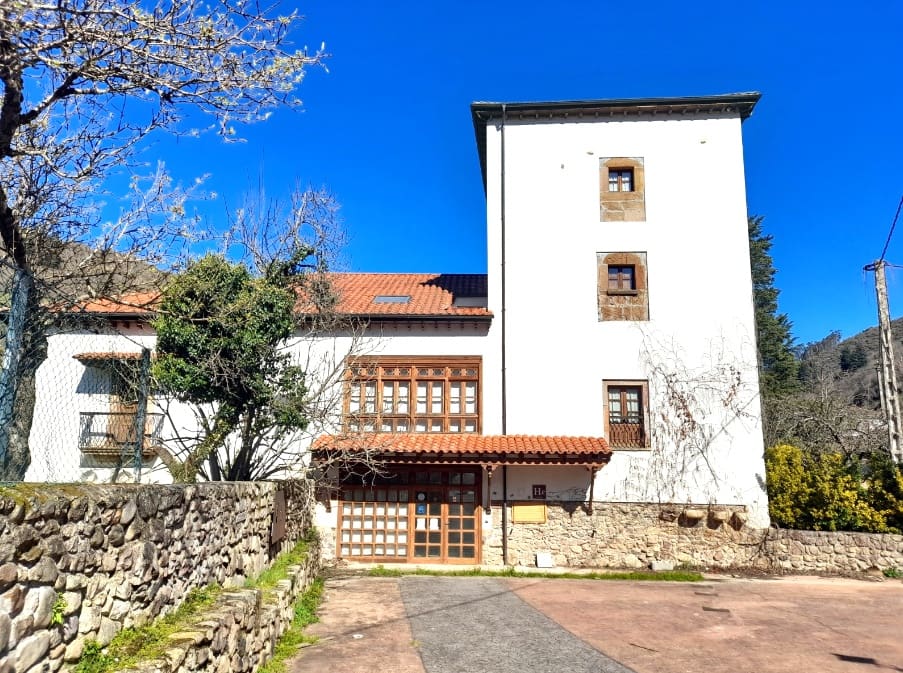 16 soveværelse Hotel til salg i Cangas del Narcea - € 380.000 (Ref: 9009369)