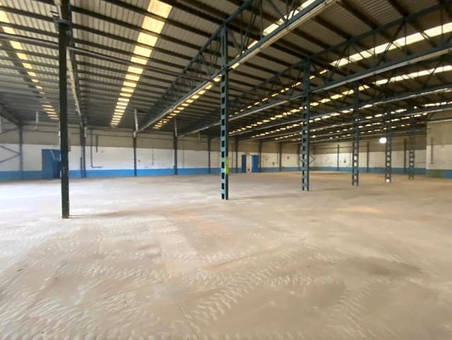 Business for sale in Alhama de Aragón - € 325,000 (Ref: 9012538)