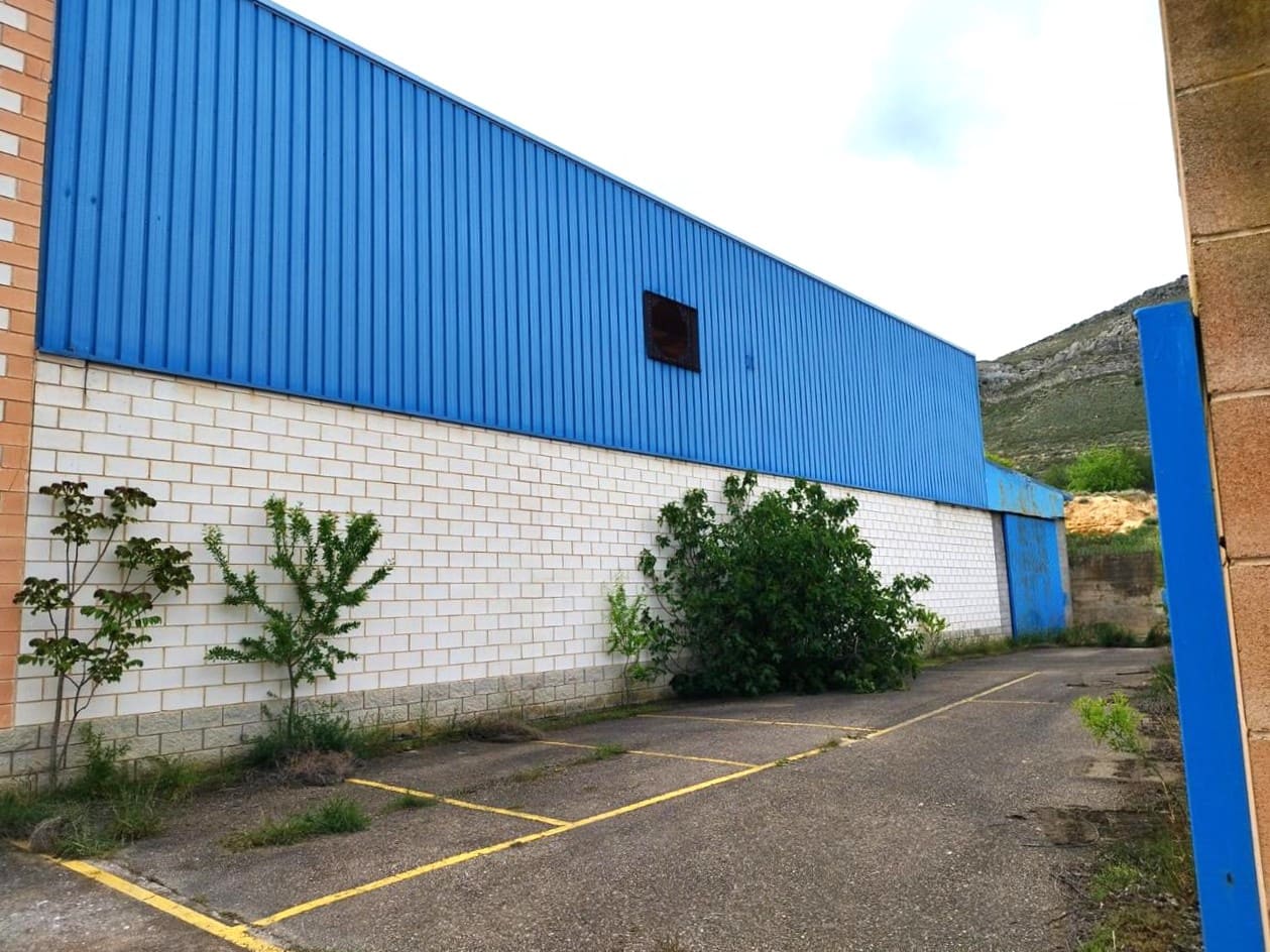 Virksomhed til salg i Alhama de Aragon - € 325.000 (Ref: 9012538)