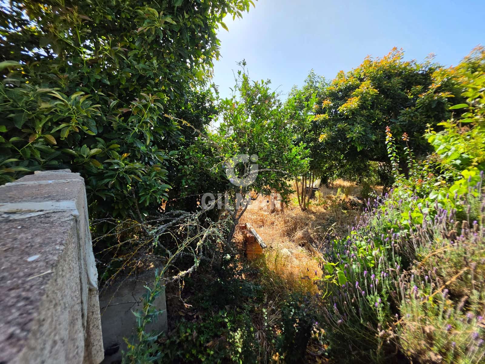 2 bedroom Villa for sale in Teror - € 175,000 (Ref: 10021401)