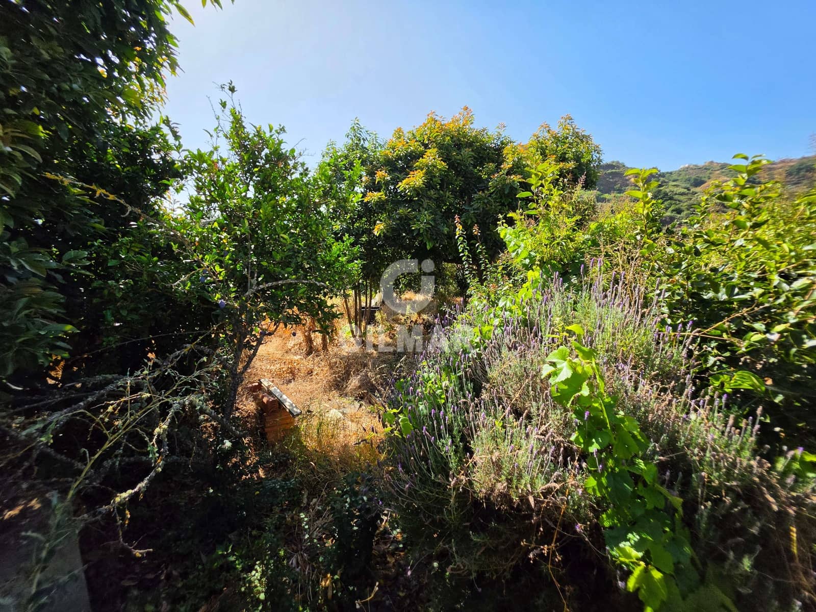 2 bedroom Villa for sale in Teror - € 175,000 (Ref: 10021401)