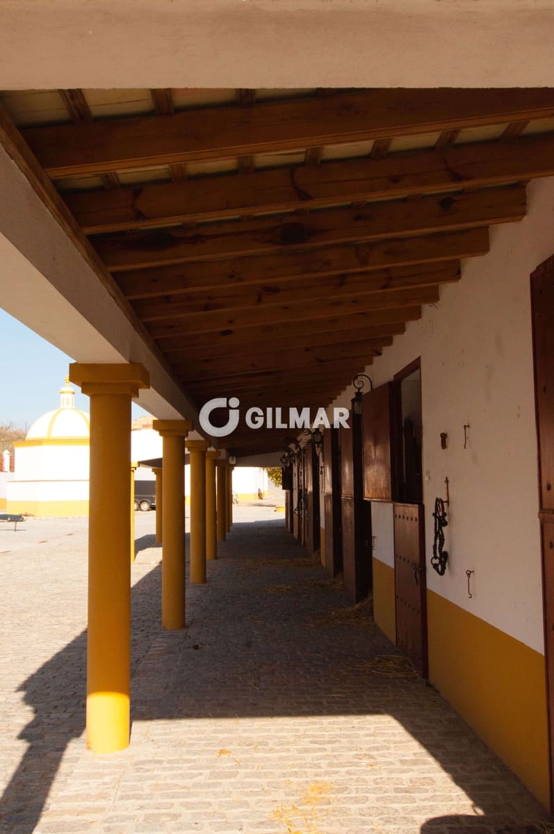 5 soverom Villa til salgs i Medina-Sidonia med svømmebasseng garasje - € 3 300 000 (Ref: 10141807)