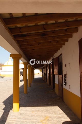 5 soverom Villa til salgs i Medina-Sidonia med svømmebasseng garasje - € 3 300 000 (Ref: 10141807)