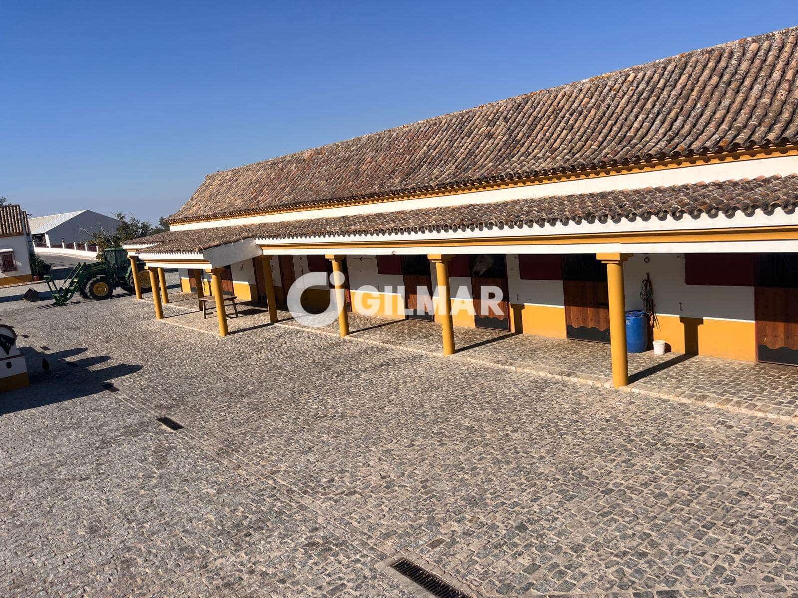 5 soverom Villa til salgs i Medina-Sidonia med svømmebasseng garasje - € 3 300 000 (Ref: 10141807)