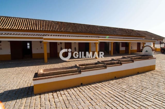 5 soverom Villa til salgs i Medina-Sidonia med svømmebasseng garasje - € 3 300 000 (Ref: 10141807)