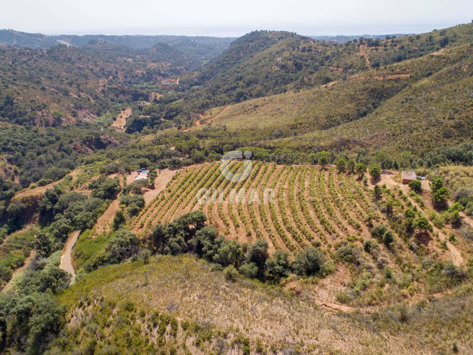 Teren niezagospodarowany na sprzedaż w Estepona - 2 500 000 € (Ref: 9205884)