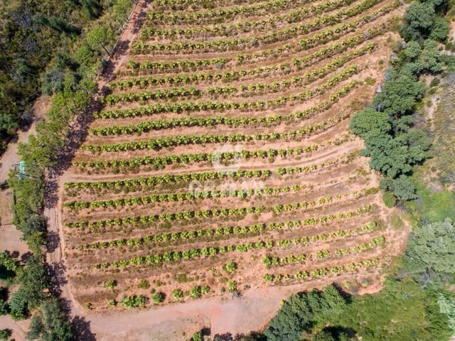 Rakentamaton maa myytävänä paikassa Las Lomas, Estepona - 2 500 000 € (Ref: 9205884)