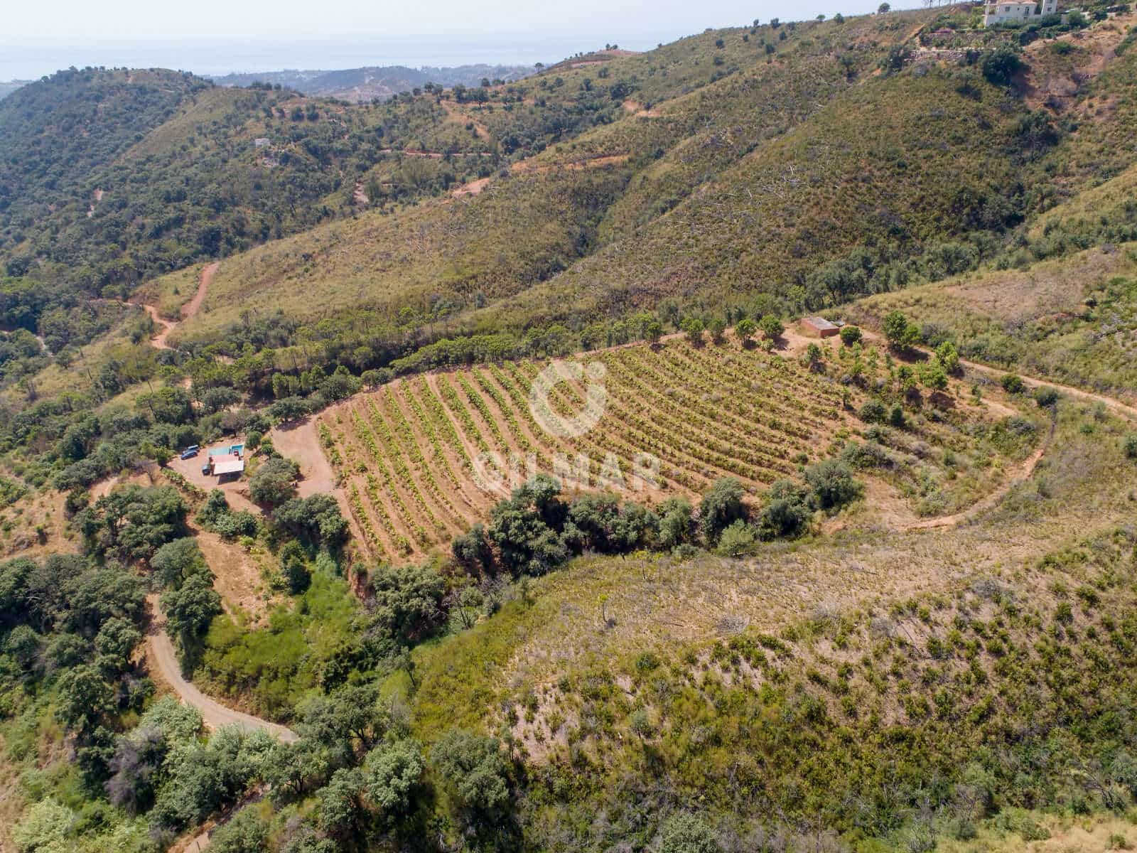 Teren niezagospodarowany na sprzedaż w Estepona - 2 500 000 € (Ref: 9205884)