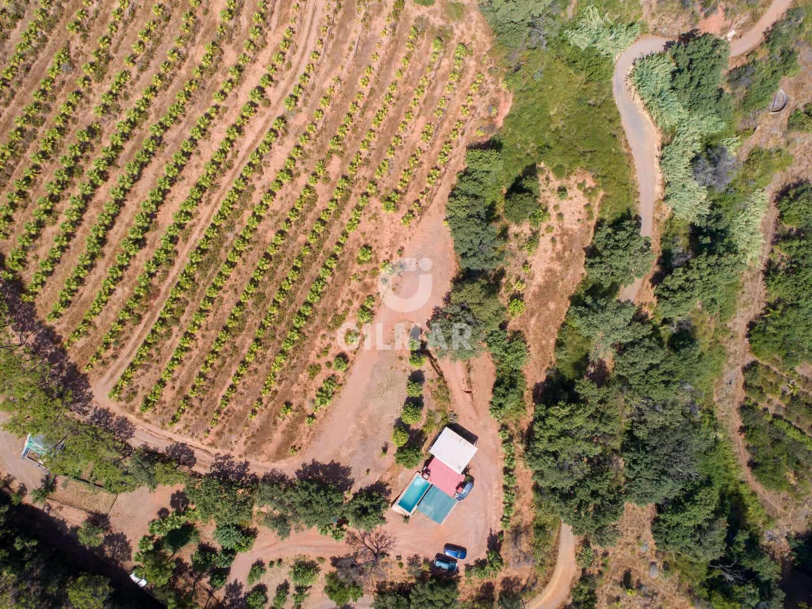 Teren niezagospodarowany na sprzedaż w Estepona - 2 500 000 € (Ref: 9205884)