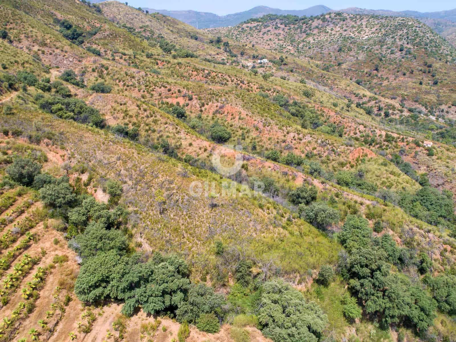 Teren niezagospodarowany na sprzedaż w Estepona - 2 500 000 € (Ref: 9205884)