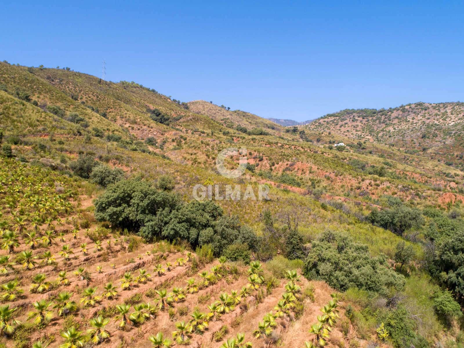 Teren niezagospodarowany na sprzedaż w Estepona - 2 500 000 € (Ref: 9205884)